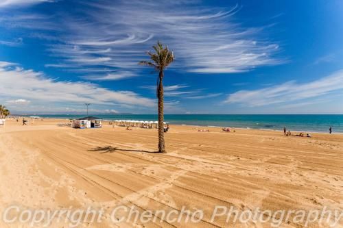 Outdoor Pictures 17
