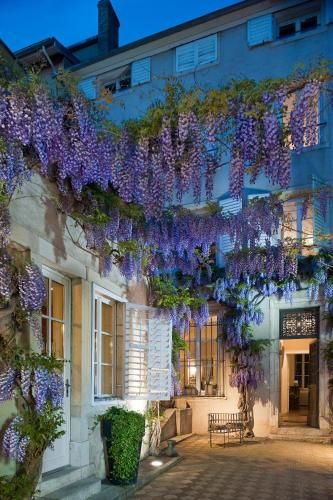Outdoor Pictures 24