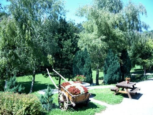 Outdoor Pictures 18