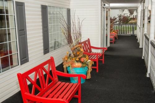 Outdoor Pictures 8