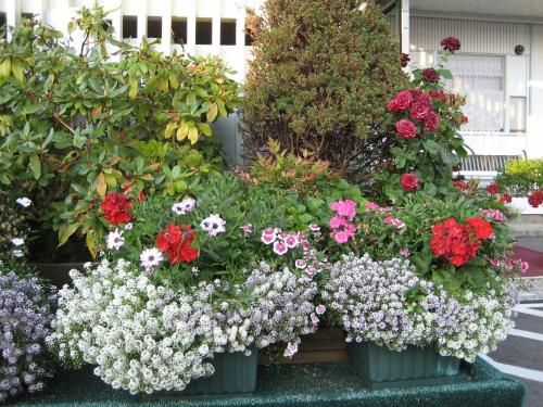 Outdoor Pictures 21