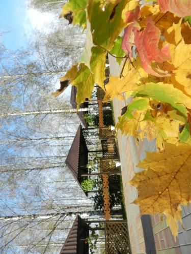 Outdoor Pictures 19