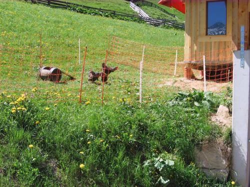 Outdoor Pictures 21