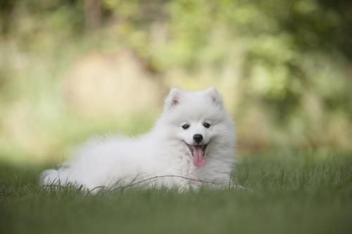 Outdoor Pictures 22