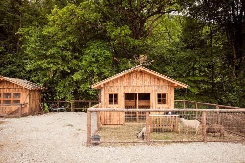 Outdoor Pictures 22