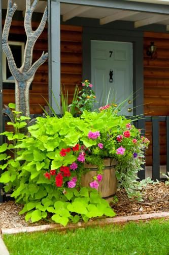 Outdoor Pictures 17