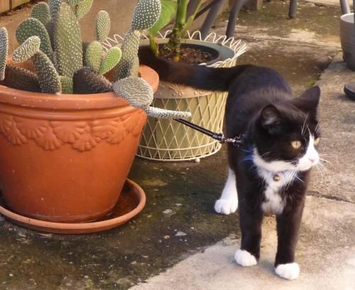 Outdoor Pictures 15