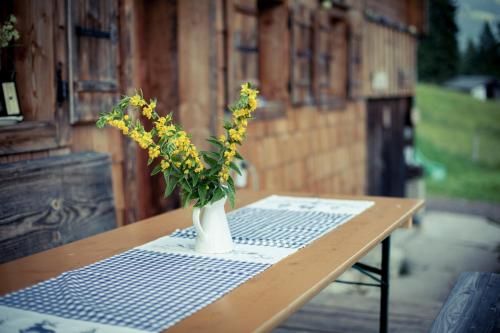 Outdoor Pictures 12
