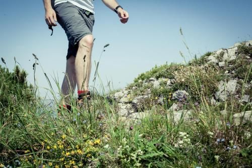 Outdoor Pictures 15
