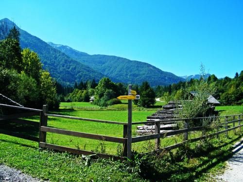 Outdoor Pictures 11