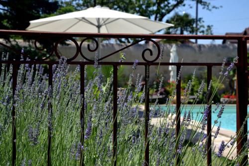 Outdoor Pictures 24