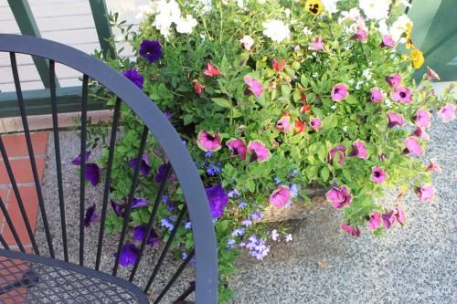 Outdoor Pictures 15