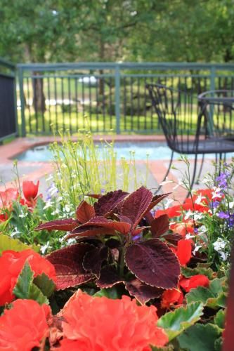 Outdoor Pictures 16