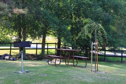 Outdoor Pictures 17