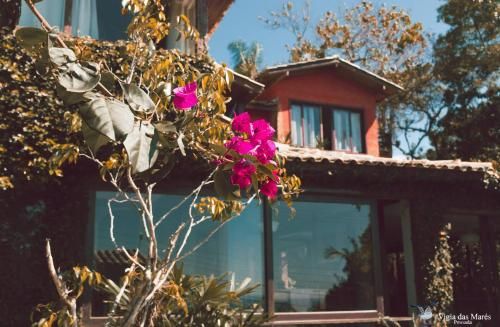 Outdoor Pictures 24