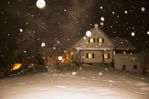 Outdoor Pictures 24