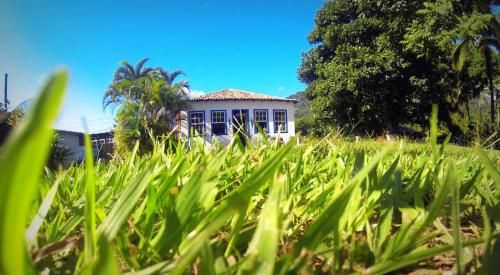 Outdoor Pictures 24