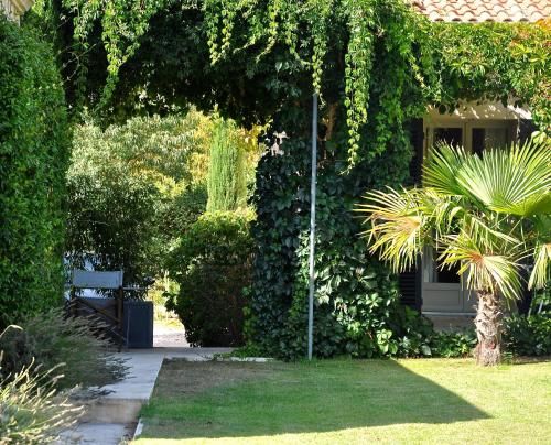 Outdoor Pictures 10
