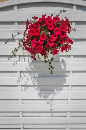 Outdoor Pictures 20