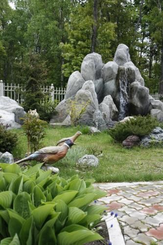 Outdoor Pictures 23