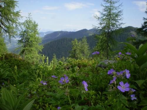 Outdoor Pictures 22