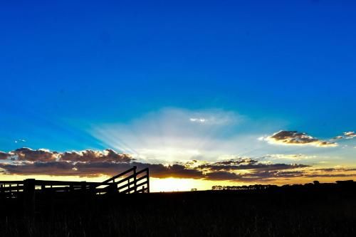Outdoor Pictures 20