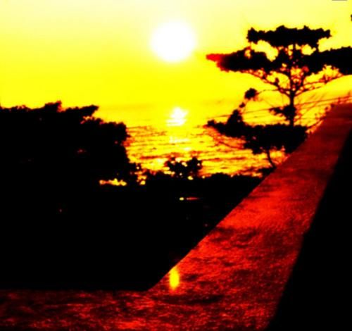 Outdoor Pictures 20