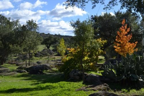 Outdoor Pictures 16