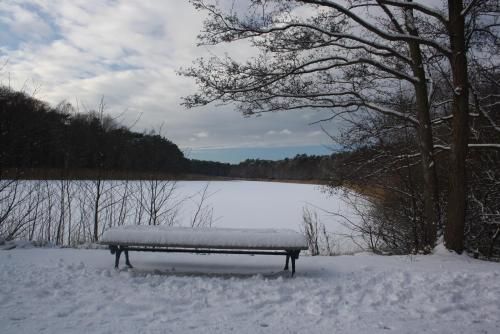 Outdoor Pictures 16