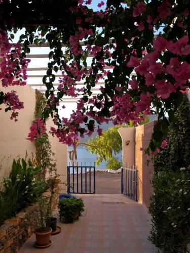 Outdoor Pictures 20