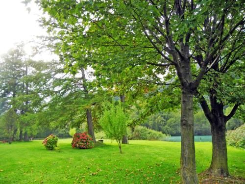 Outdoor Pictures 15