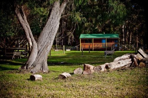 Outdoor Pictures 24