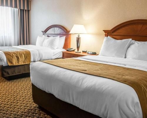 Comfort Inn and Suites Pittsburgh