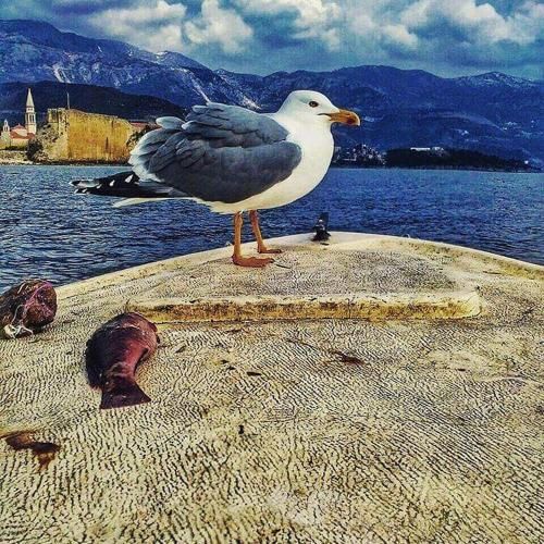 Outdoor Pictures 10