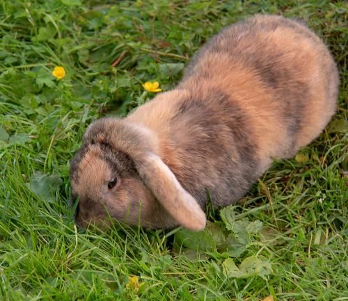 Outdoor Pictures 16