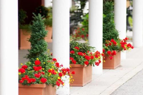 Outdoor Pictures 21