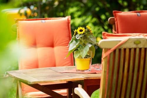 Outdoor Pictures 20