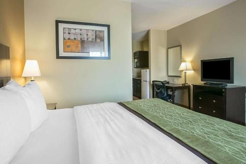 Comfort Inn & Suites - Fort Gordon