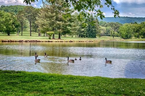 Outdoor Pictures 21