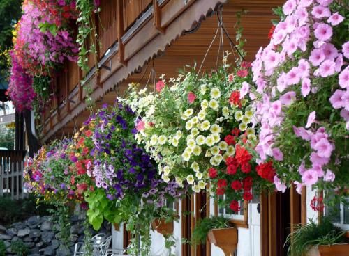 Outdoor Pictures 15
