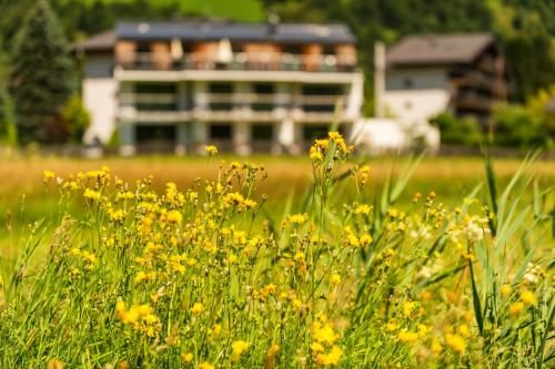 Outdoor Pictures 22