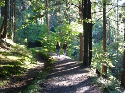 Outdoor Pictures 21