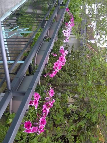 Outdoor Pictures 21