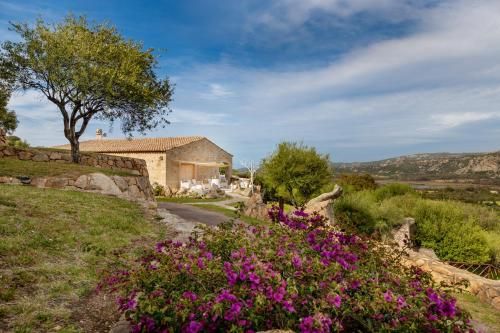 Outdoor Pictures 22
