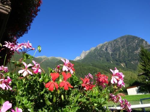 Outdoor Pictures 22