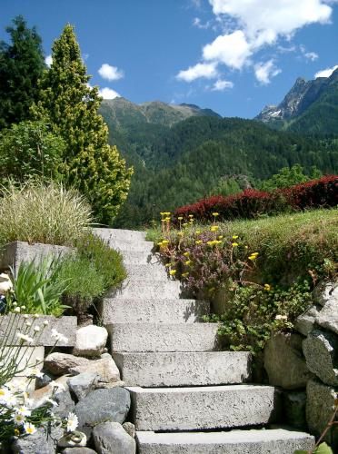 Outdoor Pictures 20