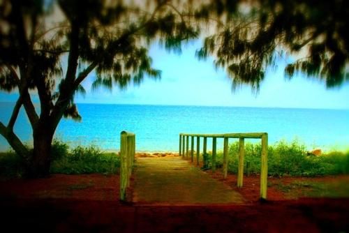 Outdoor Pictures 17
