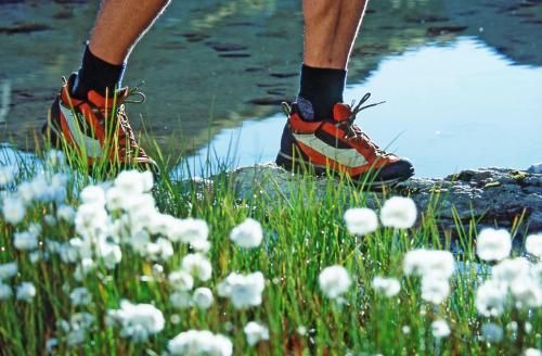 Outdoor Pictures 21
