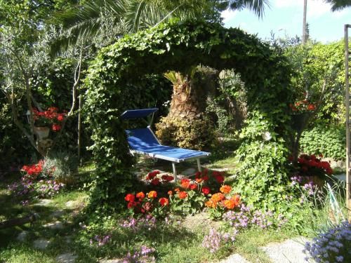 Outdoor Pictures 21
