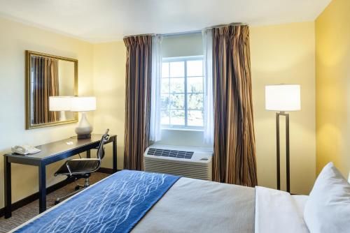 Comfort Inn & Suites Texas Hill Country